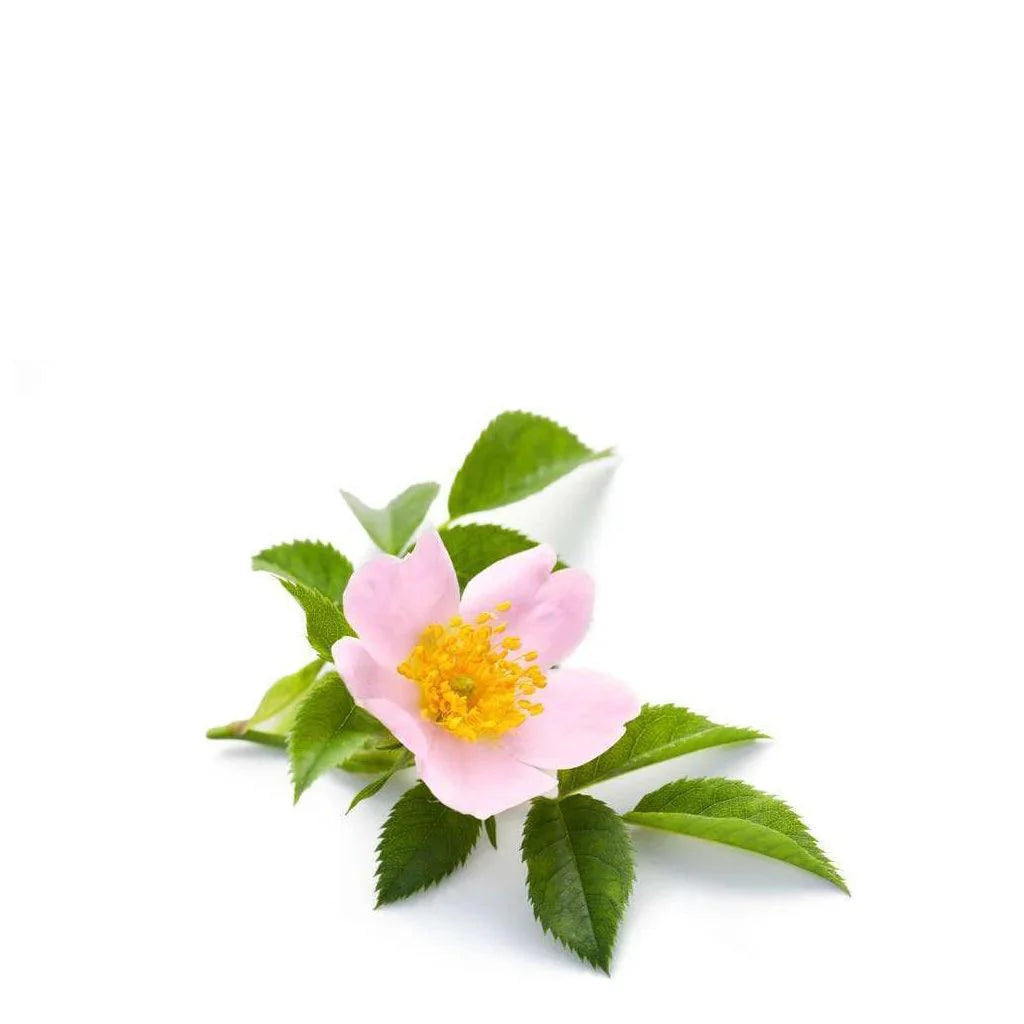 Barefoot & Beautiful, Soap Bar Wild Rose og Juniper & Lime | Håndsåpe | Barefoot & Beautiful | JK SHOP | JK Barber og herre frisør | Lavepriser | Best